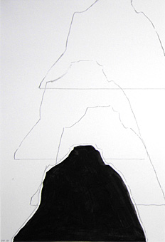 Heidi Langauer Werke 2010 / 2011