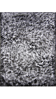 Heidi Langauer Werke 2010 / 2011