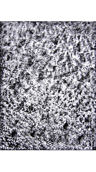 Heidi Langauer Werke 2010 / 2011