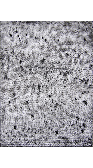 Heidi Langauer Werke 2010 / 2011