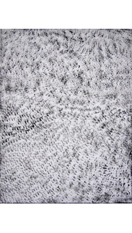 Heidi Langauer Werke 2010 / 2011